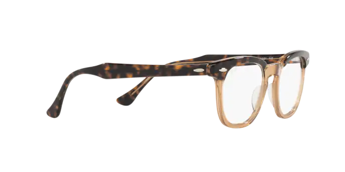 Ray-Ban Hawkeye Eyeglasses RX5398 8109