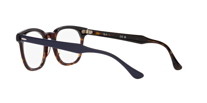 Ray-Ban Hawkeye Eyeglasses RX5398 8283