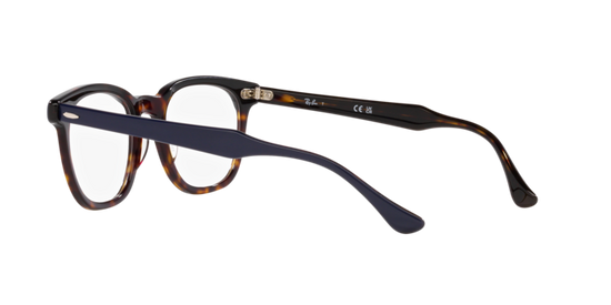 Ray-Ban Hawkeye Eyeglasses RX5398 8283