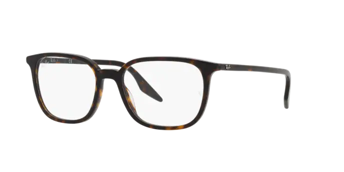 Ray-Ban Eyeglasses RX5406 2012