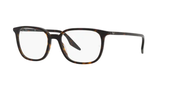 Ray-Ban Eyeglasses RX5406 2012