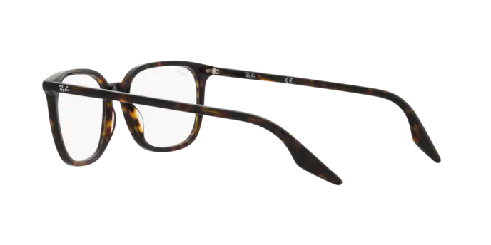 Ray-Ban Eyeglasses RX5406 2012