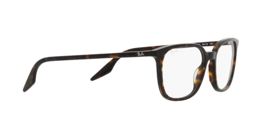 Ray-Ban Eyeglasses RX5406 2012