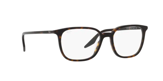 Ray-Ban Eyeglasses RX5406 2012