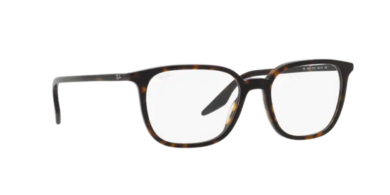 Ray-Ban Eyeglasses RX5406 2012