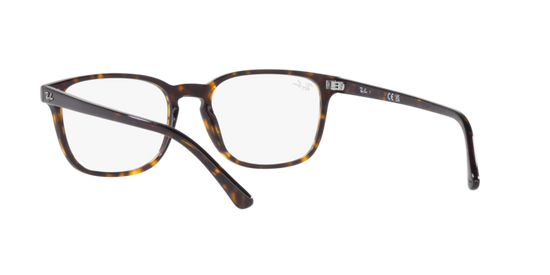 Ray-Ban Eyeglasses RX5418 2012