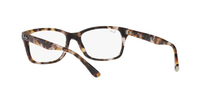 Ray-Ban Eyeglasses RX5428 8173