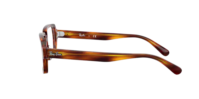 Ray-Ban Benji Eyeglasses RX5473 2144