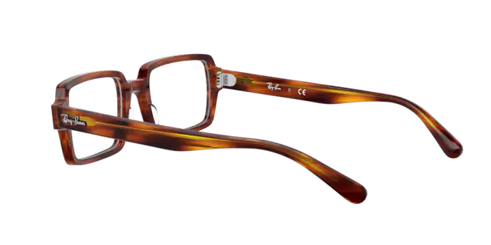 Ray-Ban Benji Eyeglasses RX5473 2144