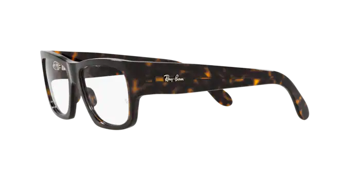 Ray-Ban Nomad Wayfarer Eyeglasses RX5487 2012