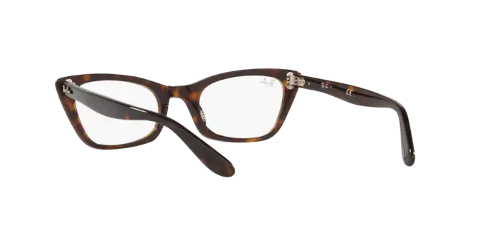 Ray-Ban Lady Burbank Eyeglasses RX5499 2012