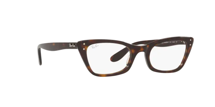 Ray-Ban Lady Burbank Eyeglasses RX5499 2012