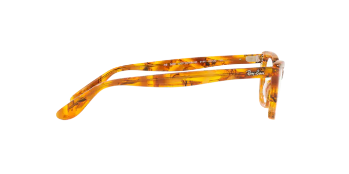 Ray-Ban Lady Burbank Eyeglasses RX5499 8144