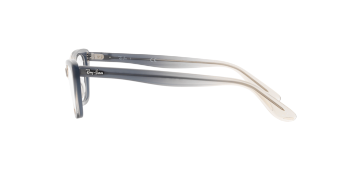 Ray-Ban Lady Burbank Eyeglasses RX5499 8147