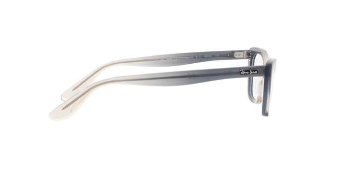 Ray-Ban Lady Burbank Eyeglasses RX5499 8147