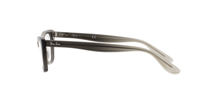 Ray-Ban Lady Burbank Eyeglasses RX5499 8149