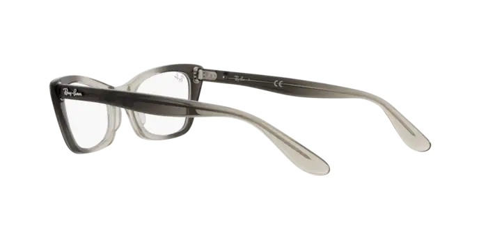 Ray-Ban Lady Burbank Eyeglasses RX5499 8149