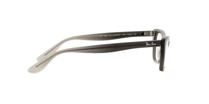 Ray-Ban Lady Burbank Eyeglasses RX5499 8149