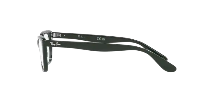 Ray-Ban Lady Burbank Eyeglasses RX5499 8226