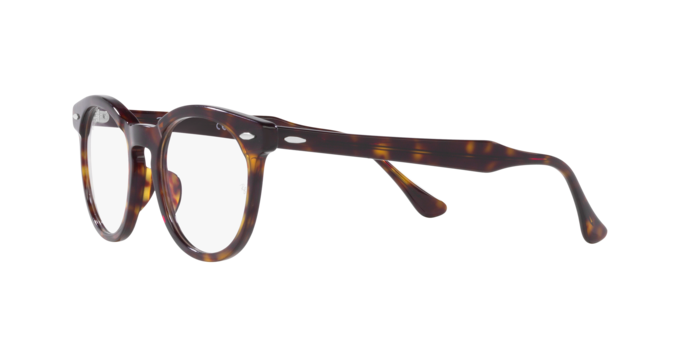 Ray-Ban Eagleeye Eyeglasses RX5598 2012