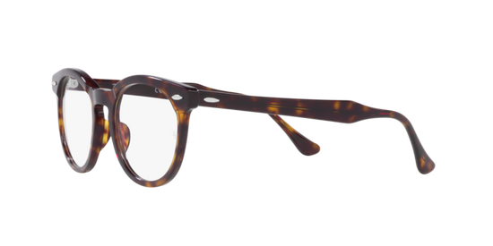 Ray-Ban Eagleeye Eyeglasses RX5598 2012