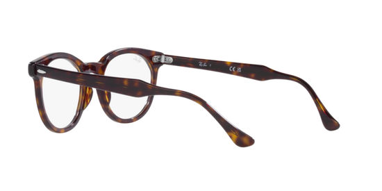 Ray-Ban Eagleeye Eyeglasses RX5598 2012