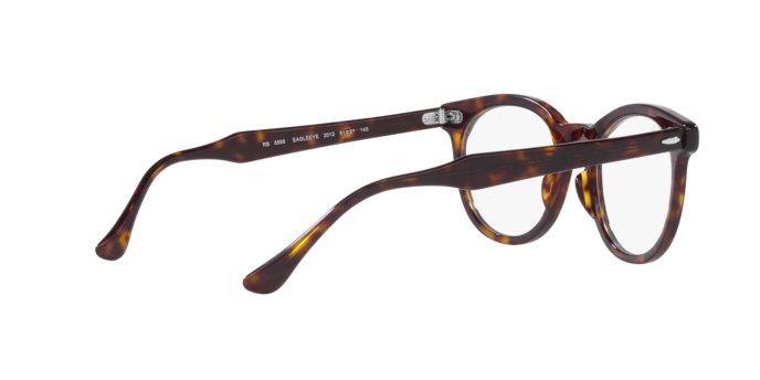 Ray-Ban Eagleeye Eyeglasses RX5598 2012