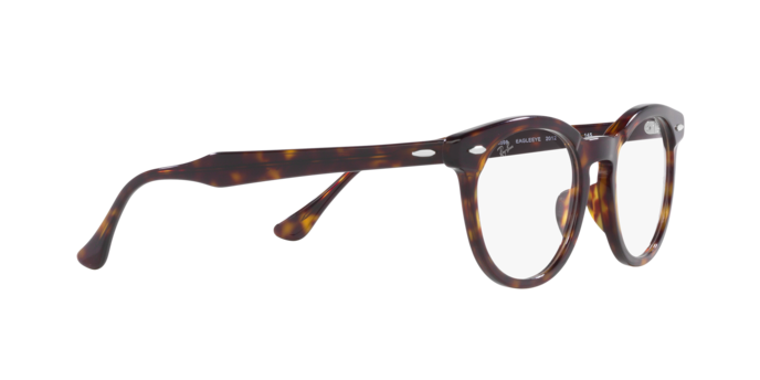 Ray-Ban Eagleeye Eyeglasses RX5598 2012