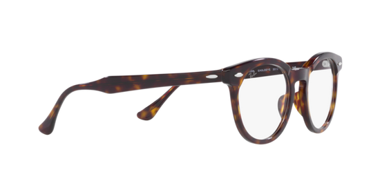 Ray-Ban Eagleeye Eyeglasses RX5598 2012