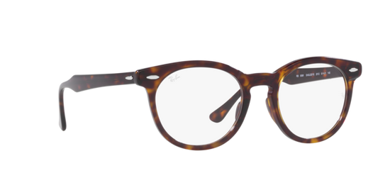 Ray-Ban Eagleeye Eyeglasses RX5598 2012