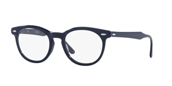 Ray-Ban Eagleeye Eyeglasses RX5598 8231