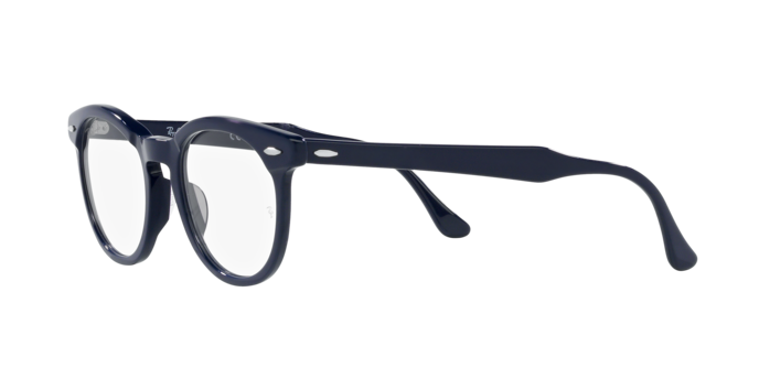 Ray-Ban Eagleeye Eyeglasses RX5598 8231