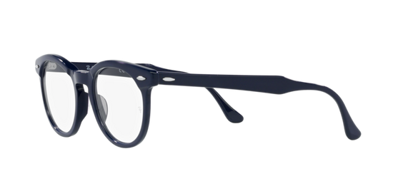 Ray-Ban Eagleeye Eyeglasses RX5598 8231