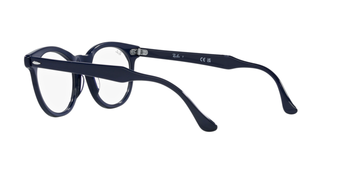 Ray-Ban Eagleeye Eyeglasses RX5598 8231