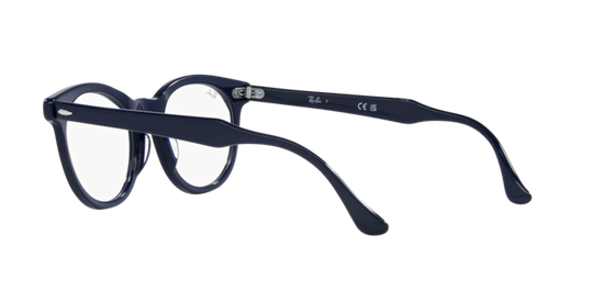 Ray-Ban Eagleeye Eyeglasses RX5598 8231