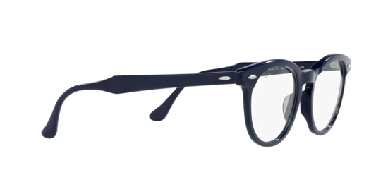 Ray-Ban Eagleeye Eyeglasses RX5598 8231