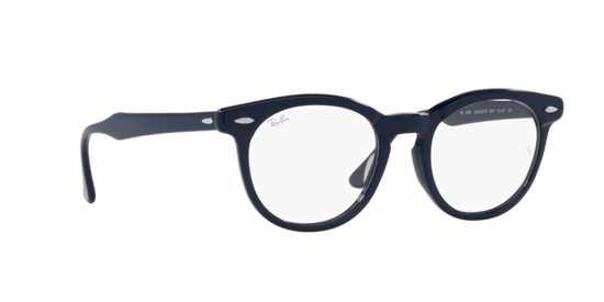 Ray-Ban Eagleeye Eyeglasses RX5598 8231