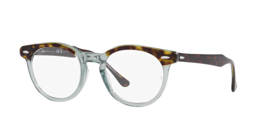 Ray-Ban Eagleeye Eyeglasses RX5598 8249