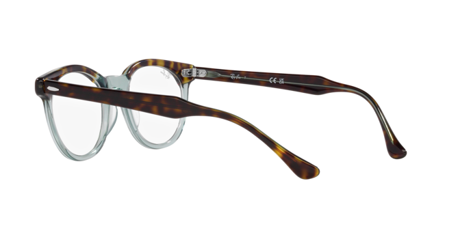 Ray-Ban Eagleeye Eyeglasses RX5598 8249