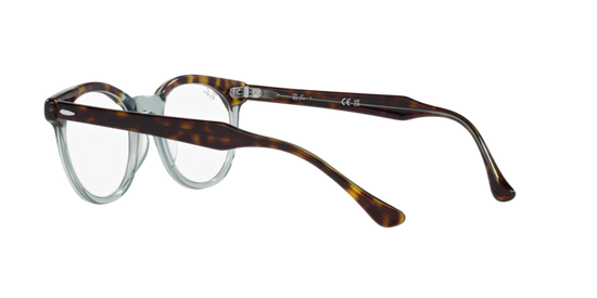 Ray-Ban Eagleeye Eyeglasses RX5598 8249