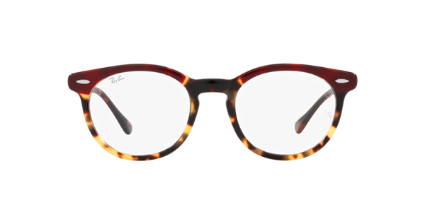 Ray-Ban Eagleeye RX5598 8250