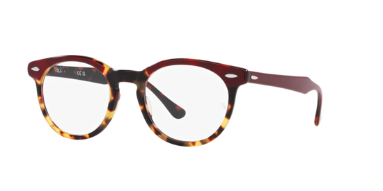 Ray-Ban Eagleeye Eyeglasses RX5598 8250