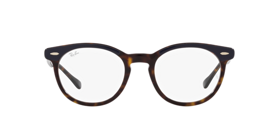 Ray-Ban Eagleeye Eyeglasses RX5598 8283