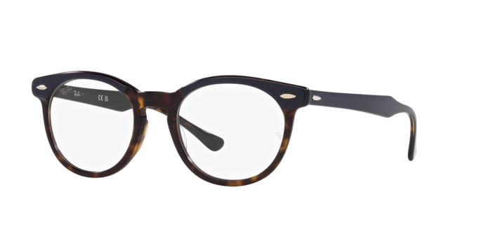 Ray-Ban Eagleeye Eyeglasses RX5598 8283