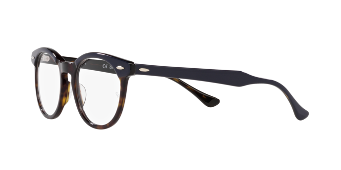 Ray-Ban Eagleeye Eyeglasses RX5598 8283