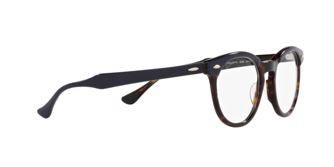 Ray-Ban Eagleeye Eyeglasses RX5598 8283