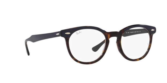 Ray-Ban Eagleeye Eyeglasses RX5598 8283