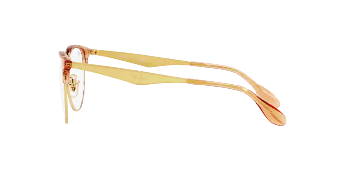 Ray-Ban Eyeglasses RX6396 3132