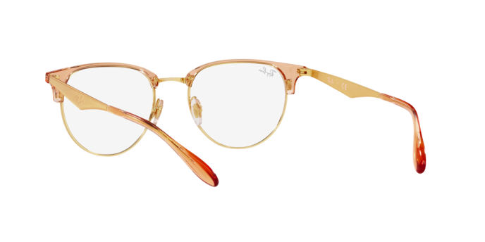 Ray-Ban Eyeglasses RX6396 3132