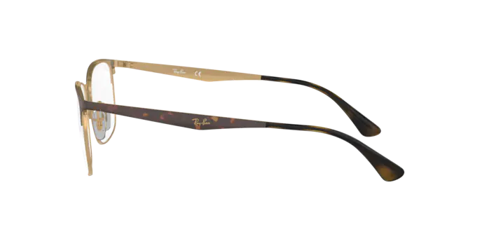 Ray-Ban Eyeglasses RX6421 3001